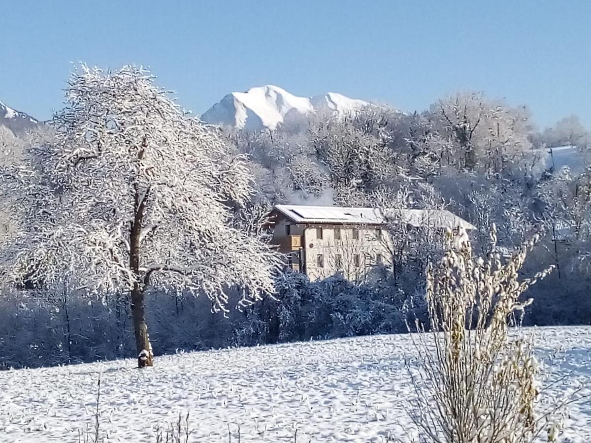 Antico Melo B&B Vignole Bagian luar foto